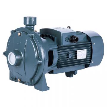Vickers PV016R1K1AYNUPG+PGP505A0080CA1 Piston Pump PV Series