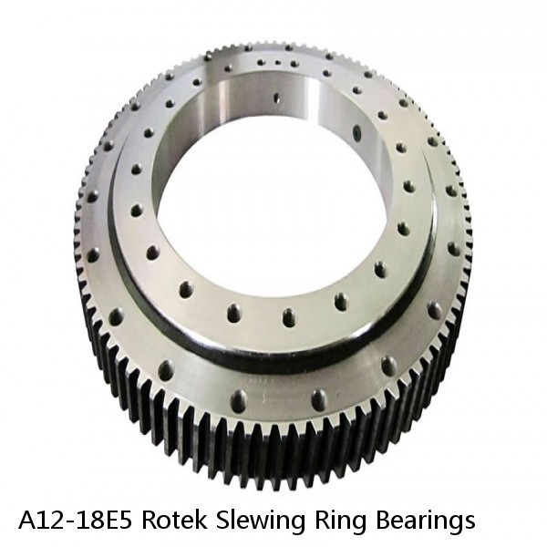 A12-18E5 Rotek Slewing Ring Bearings