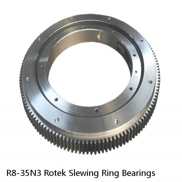 R8-35N3 Rotek Slewing Ring Bearings