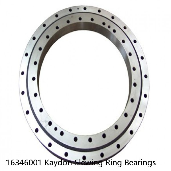 16346001 Kaydon Slewing Ring Bearings