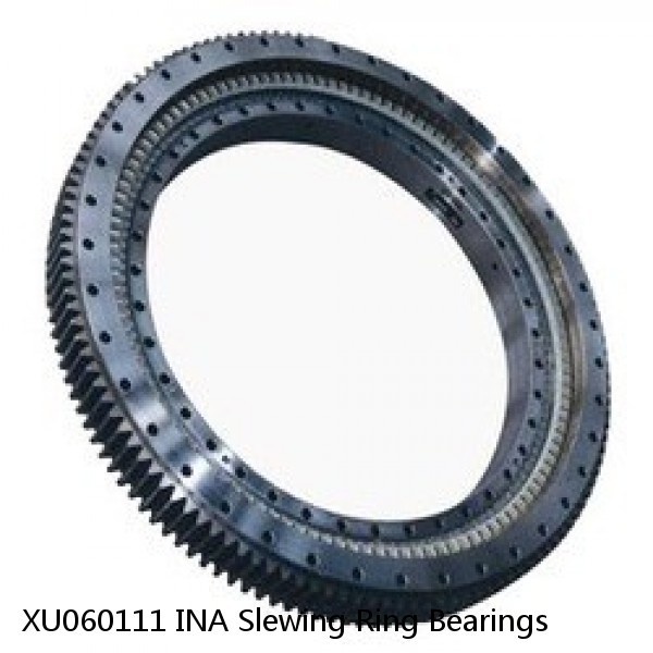 XU060111 INA Slewing Ring Bearings