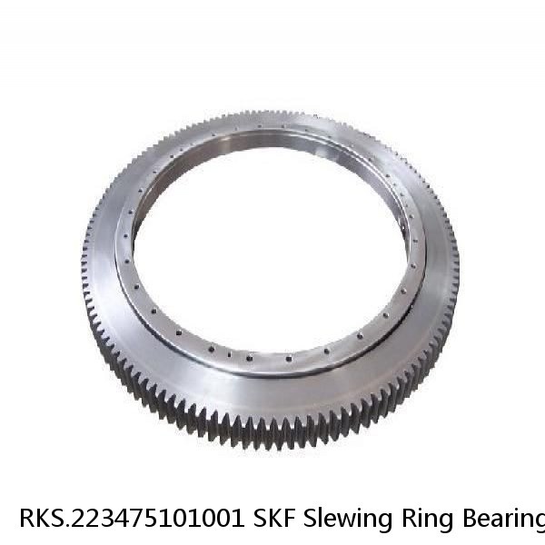 RKS.223475101001 SKF Slewing Ring Bearings