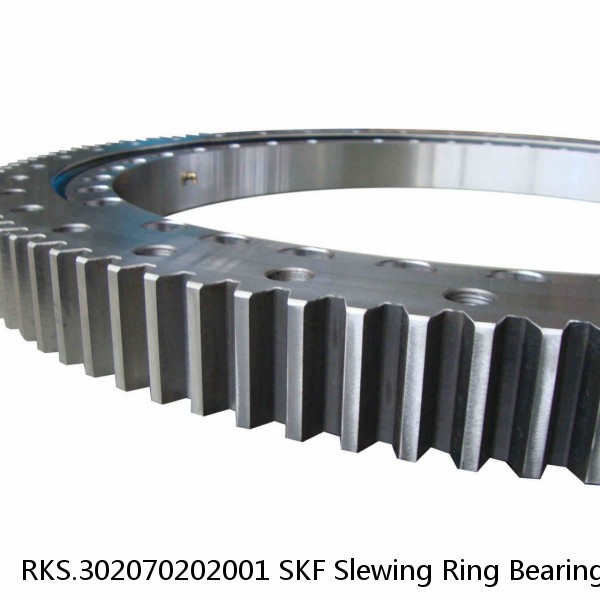 RKS.302070202001 SKF Slewing Ring Bearings