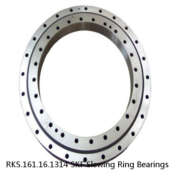 RKS.161.16.1314 SKF Slewing Ring Bearings