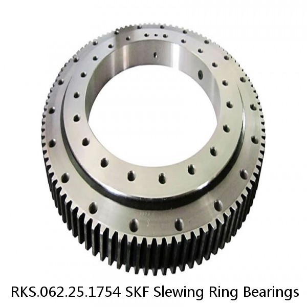 RKS.062.25.1754 SKF Slewing Ring Bearings