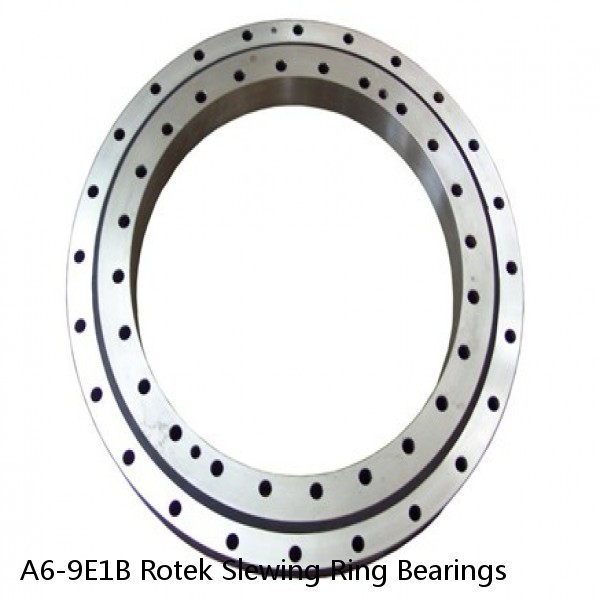 A6-9E1B Rotek Slewing Ring Bearings