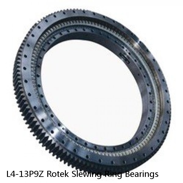 L4-13P9Z Rotek Slewing Ring Bearings