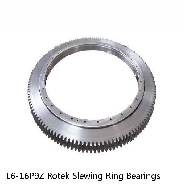 L6-16P9Z Rotek Slewing Ring Bearings