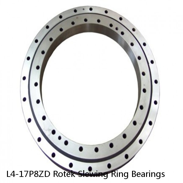 L4-17P8ZD Rotek Slewing Ring Bearings