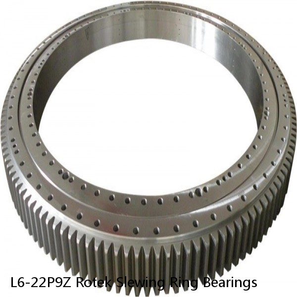 L6-22P9Z Rotek Slewing Ring Bearings