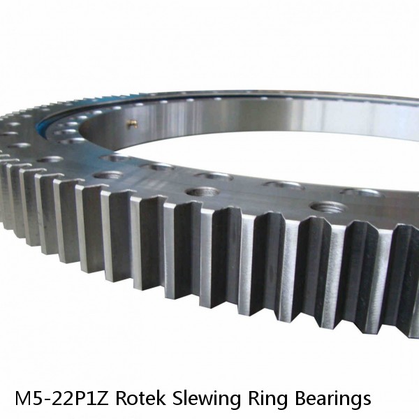 M5-22P1Z Rotek Slewing Ring Bearings