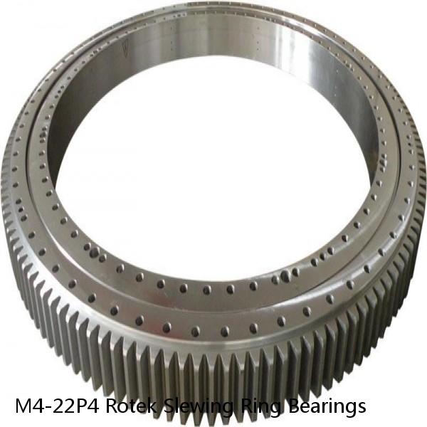 M4-22P4 Rotek Slewing Ring Bearings