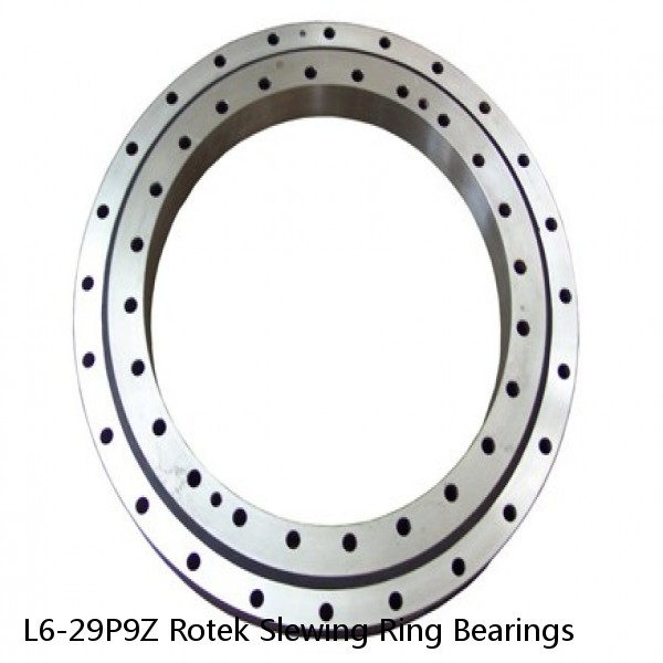 L6-29P9Z Rotek Slewing Ring Bearings