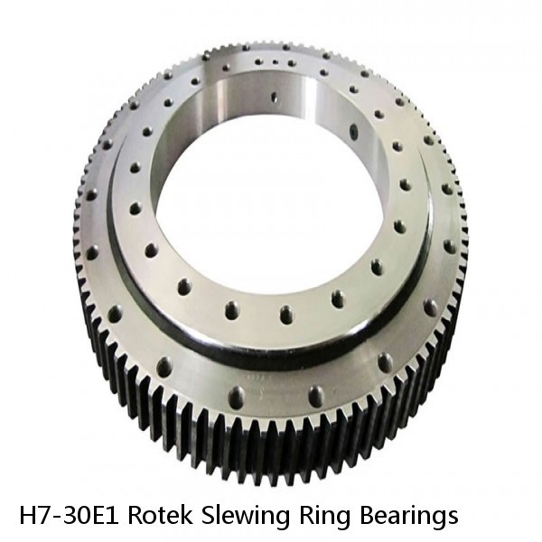 H7-30E1 Rotek Slewing Ring Bearings