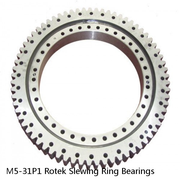 M5-31P1 Rotek Slewing Ring Bearings