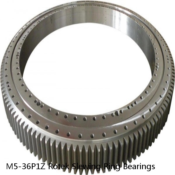 M5-36P1Z Rotek Slewing Ring Bearings