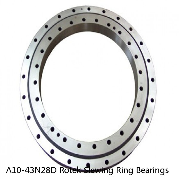 A10-43N28D Rotek Slewing Ring Bearings