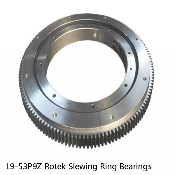 L9-53P9Z Rotek Slewing Ring Bearings