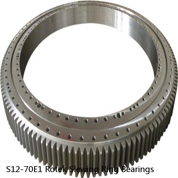 S12-70E1 Rotek Slewing Ring Bearings