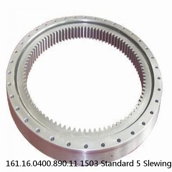 161.16.0400.890.11.1503 Standard 5 Slewing Ring Bearings