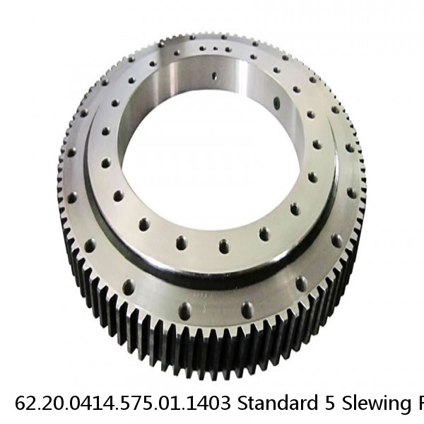 62.20.0414.575.01.1403 Standard 5 Slewing Ring Bearings