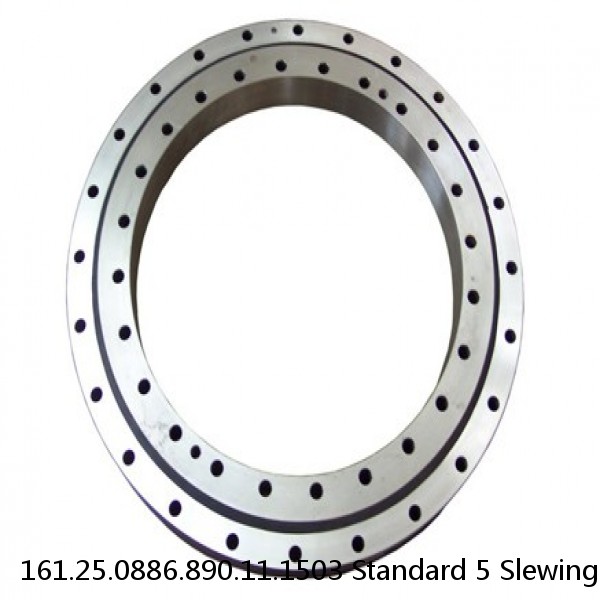 161.25.0886.890.11.1503 Standard 5 Slewing Ring Bearings