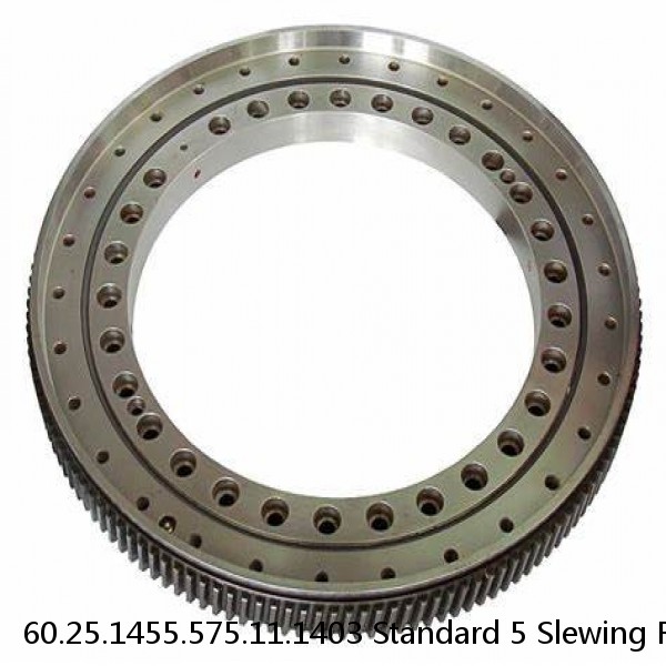 60.25.1455.575.11.1403 Standard 5 Slewing Ring Bearings