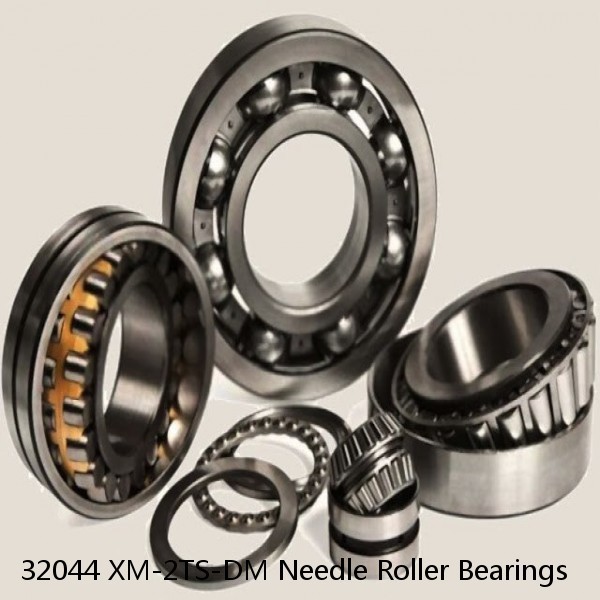 32044 XM-2TS-DM Needle Roller Bearings