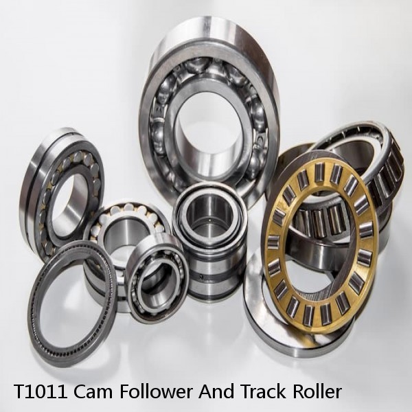 T1011 Cam Follower And Track Roller