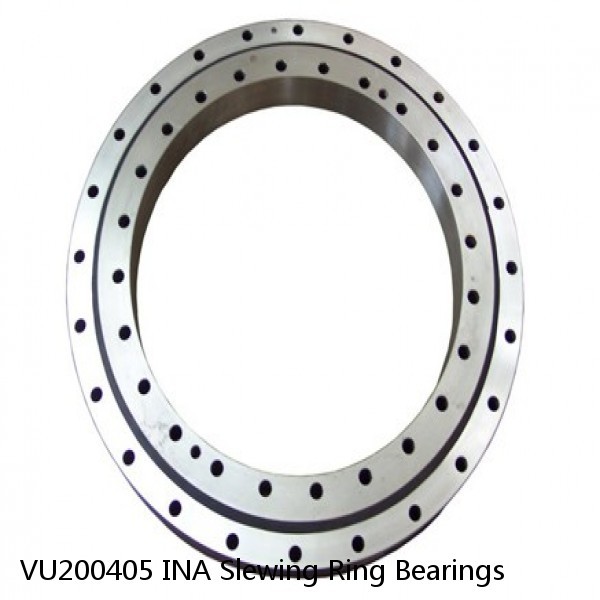 VU200405 INA Slewing Ring Bearings