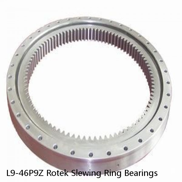 L9-46P9Z Rotek Slewing Ring Bearings