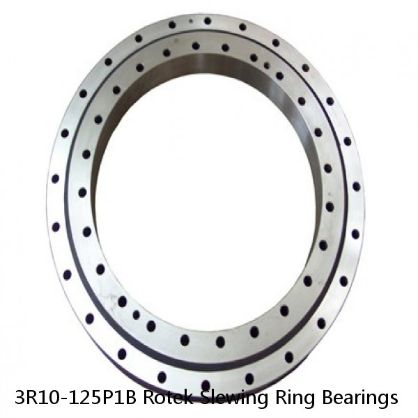 3R10-125P1B Rotek Slewing Ring Bearings