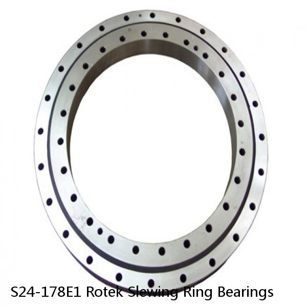 S24-178E1 Rotek Slewing Ring Bearings