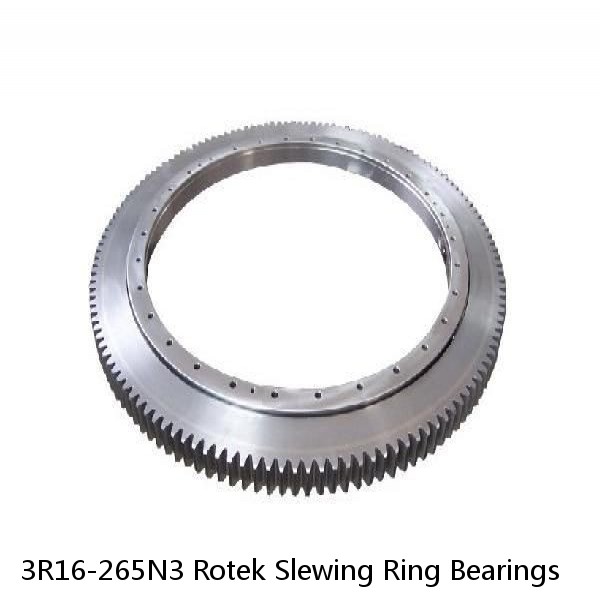 3R16-265N3 Rotek Slewing Ring Bearings