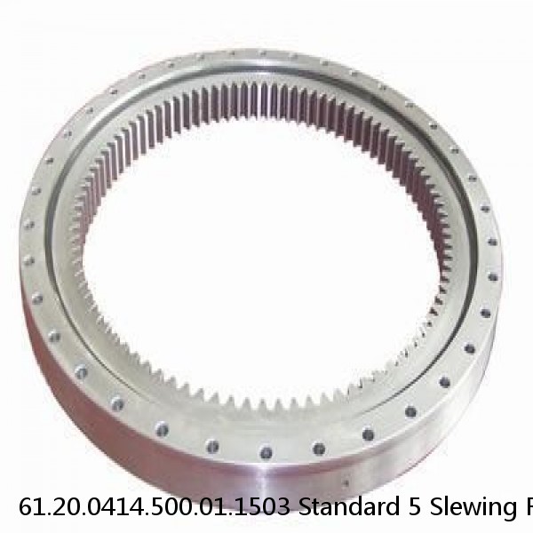 61.20.0414.500.01.1503 Standard 5 Slewing Ring Bearings