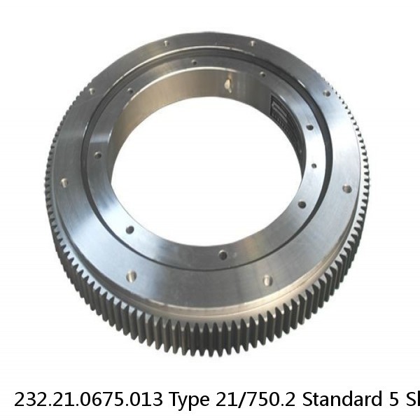 232.21.0675.013 Type 21/750.2 Standard 5 Slewing Ring Bearings