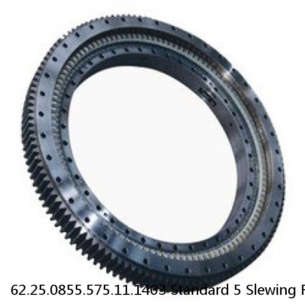 62.25.0855.575.11.1403 Standard 5 Slewing Ring Bearings