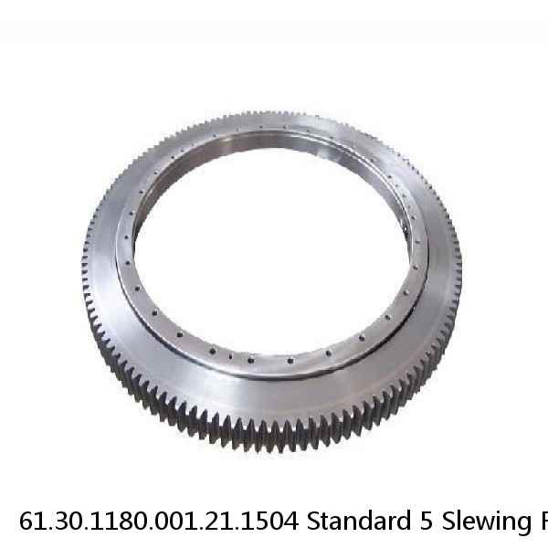 61.30.1180.001.21.1504 Standard 5 Slewing Ring Bearings