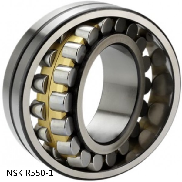 R550-1 NSK CYLINDRICAL ROLLER BEARING