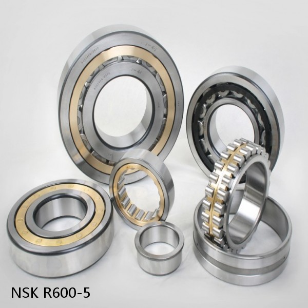 R600-5 NSK CYLINDRICAL ROLLER BEARING