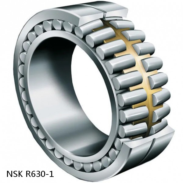 R630-1 NSK CYLINDRICAL ROLLER BEARING