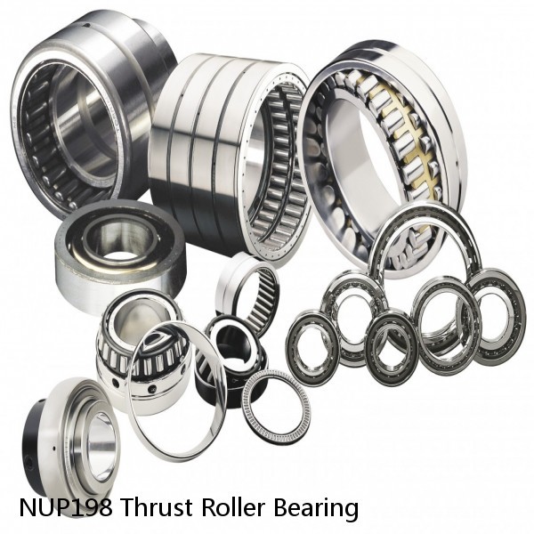 NUP198 Thrust Roller Bearing